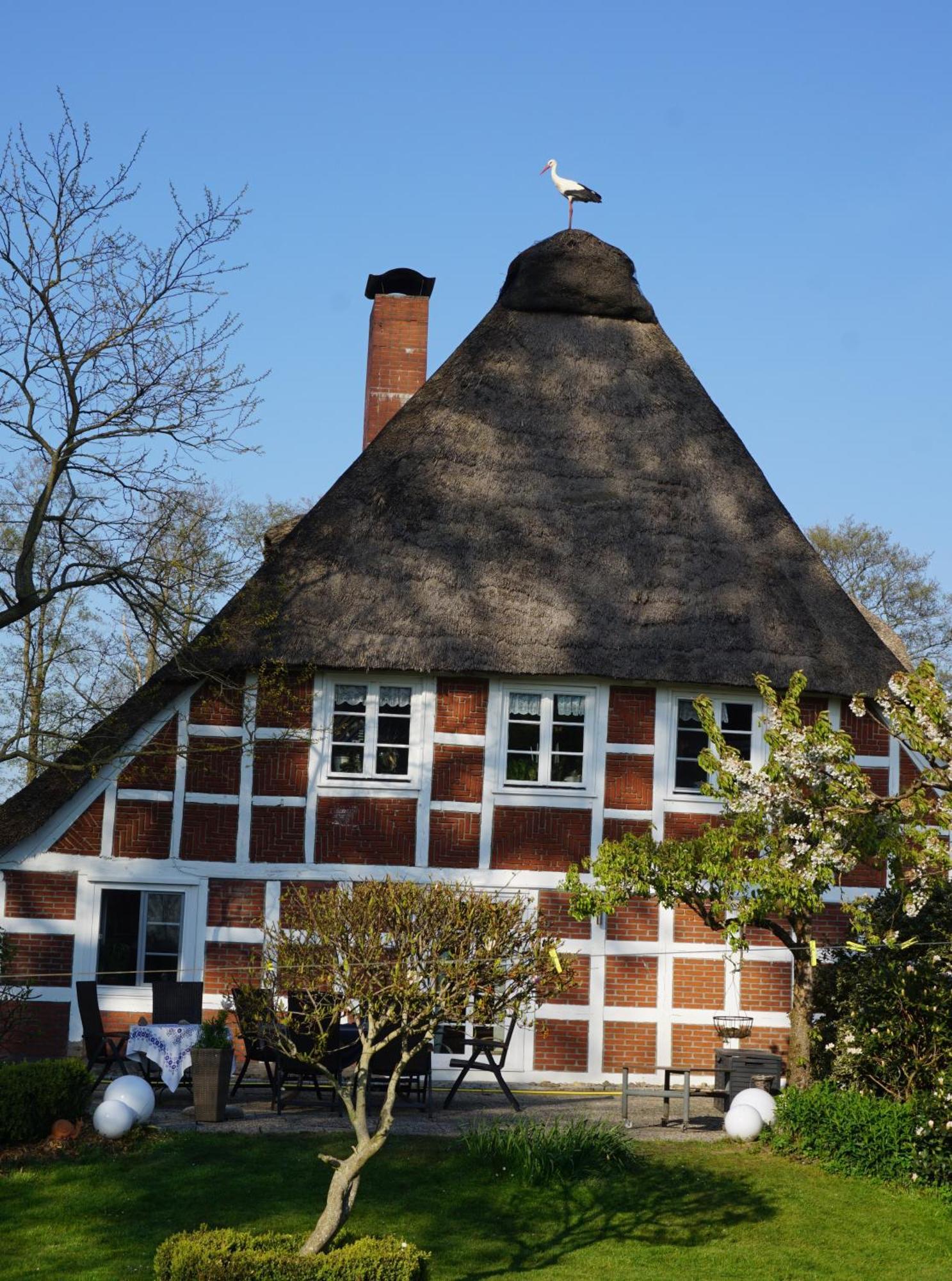 Altes Landhaus Oste, Klavier Appartement, 2 Zimmer Mit Kamin Hemmoor Exteriör bild